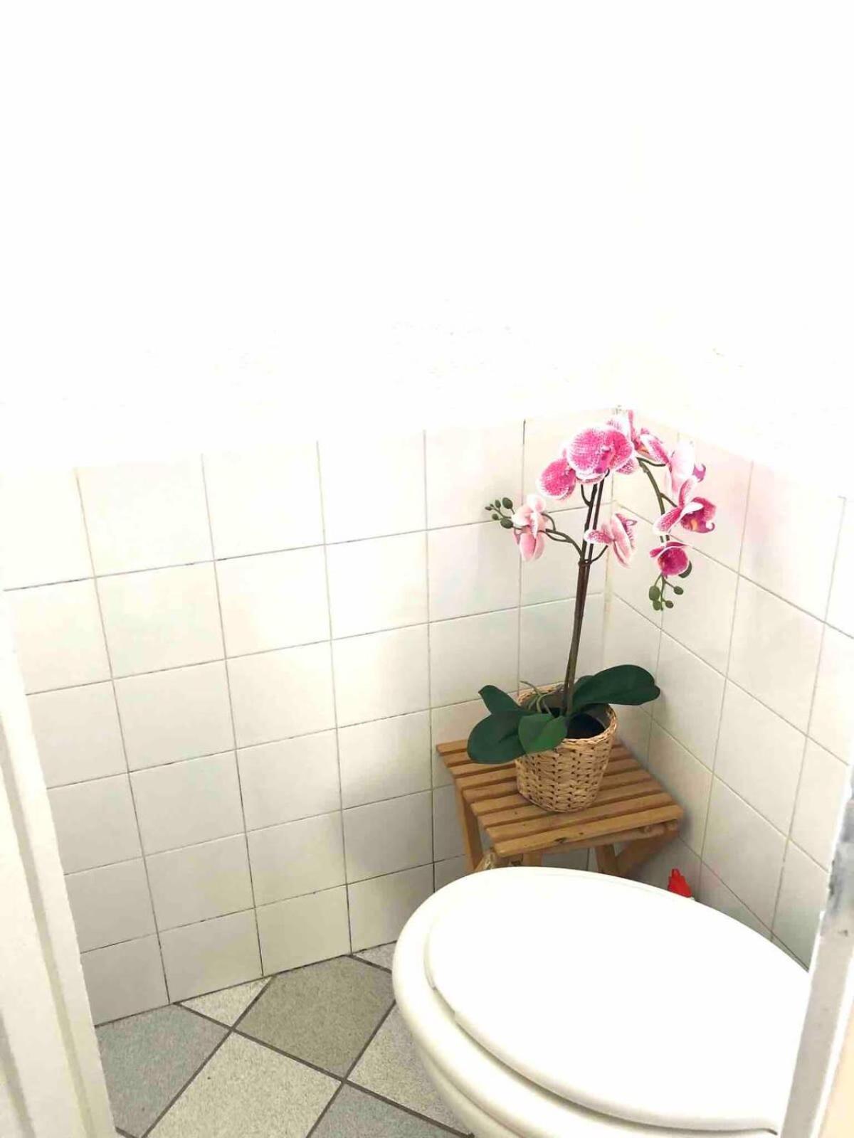 דירות Cosy פונטנבלו מראה חיצוני תמונה